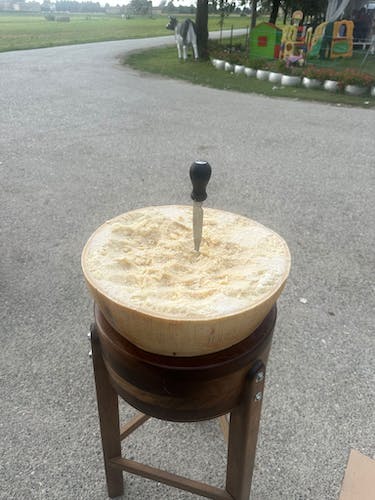 Tour de día completo de parmiggiano, vino y balsámico con almuerzo desde Bolonia