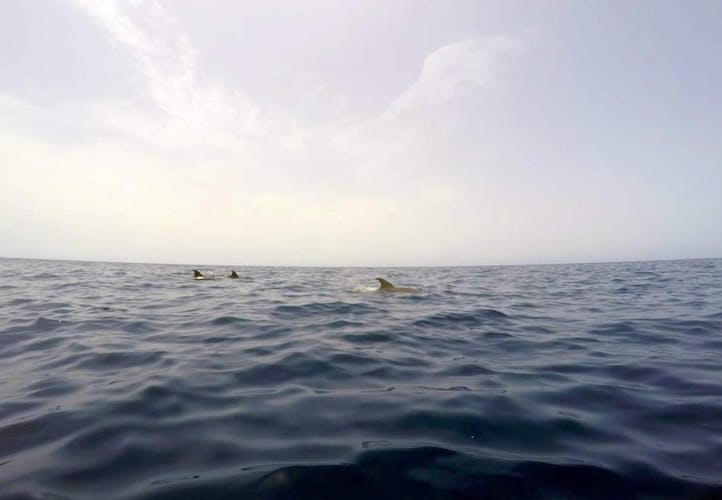 Excursión en kayak de buceo Atlantis