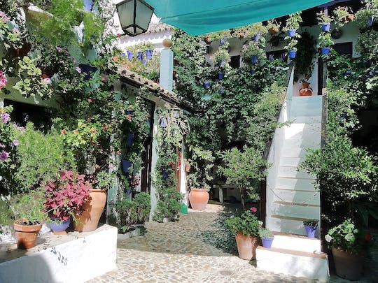 Visita guiada a pie por los patios de Córdoba