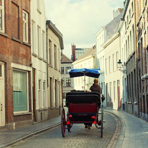 Brujas: Visita guiada + Transporte