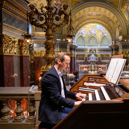St. Stephen's Basilica: Entry Ticket + Grand Organ Concert