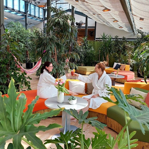 Balneario Széchenyi: Entrada + Casa de palmeras con aperitivo y cóctel