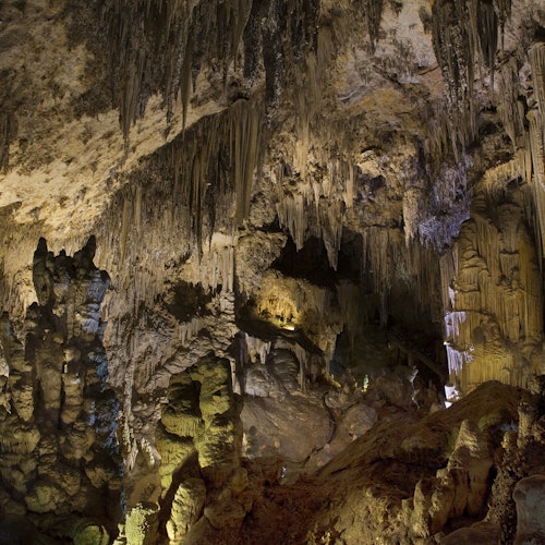 Cuevas de Nerja: Entrada