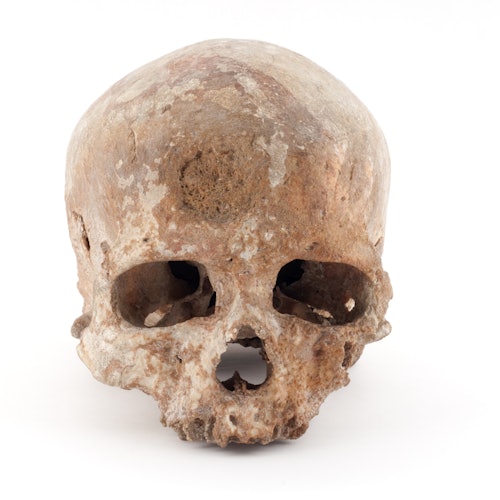 Musée de l’Homme: Skip The Line Ticket