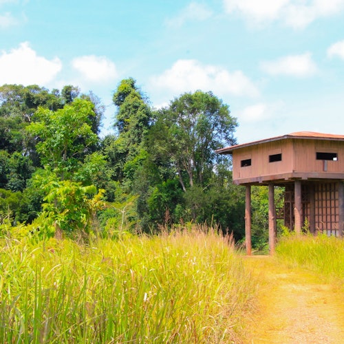 Excursión al Parque Nacional de Khao Yai desde Bangkok - Día completo