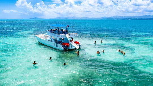 Excursión de medio día en catamarán Media Luna