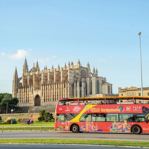 Mallorca: Excursión en bus turístico con entradas a las atracciones