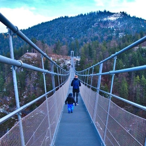 Castillo de Neuschwanstein y Highline 179: Excursión Privada de un Día desde Múnich
