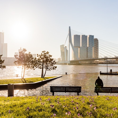 Rotterdam Moderna, La Haya Política y Delft Histórica: Excursión de un día