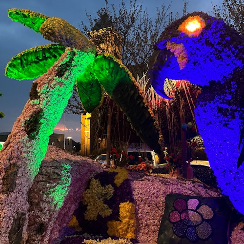 Keukenhof & Evening Flower Parade: Entry Ticket + Grandstand Seats + Transfer