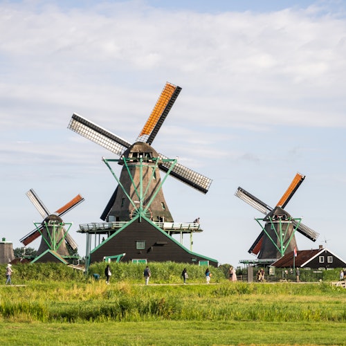 Zaanse Schans, Edam, Volendam y Marken: Visita guiada de medio día