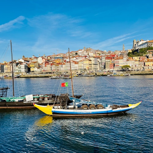 Porto and Gaia: Guided Walking Tour
