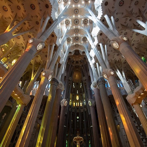 Sagrada Familia: Guided Tour