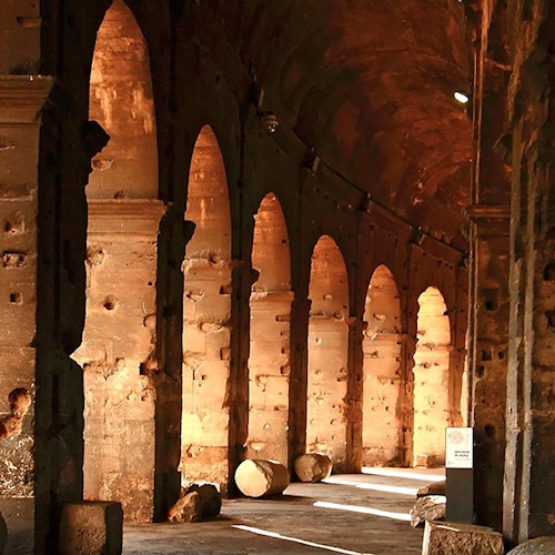 Coliseo y Foro Romano + Tour guiado