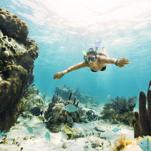 Cancún: Museo Subacuático MUSA, lancha rápida por la jungla y excursión de snorkel