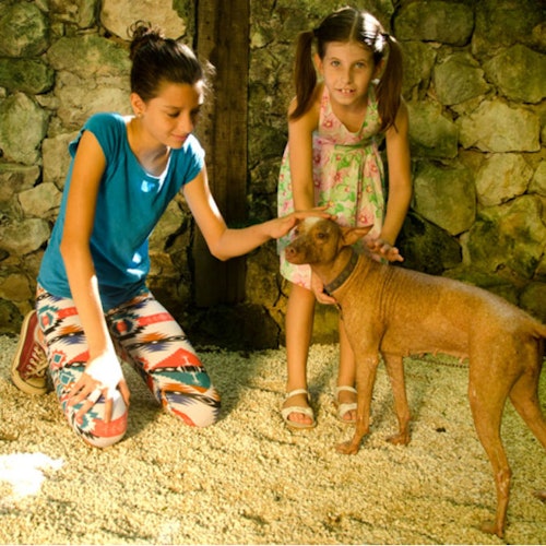 Croco Cun Zoo: Entrada de acceso rápido