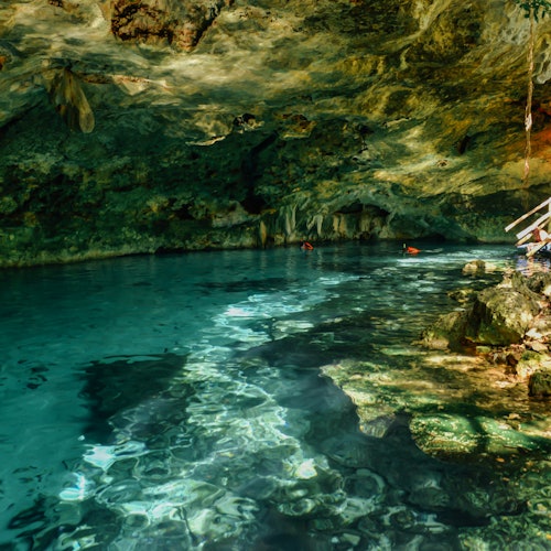 Ruinas Mayas de Tulum, Mariposa y Cenote Chen Ha: Visita Guiada, Entrada + Transporte