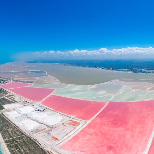 Río Lagartos y Las Coloradas: Visita Guiada, Almuerzo con Bebidas + Traslado