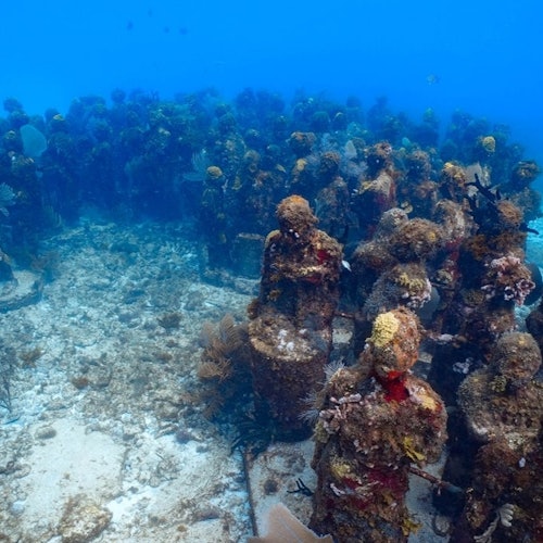 Museo Subacuático de Arte de Cancún y Arrecife de Coral Manchones: Excursión de snorkel