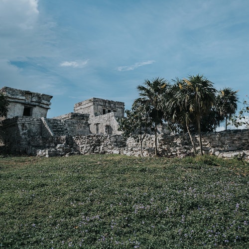 Reserva de la Biosfera de Sian Ka'an y Ruinas de Muyil: Visita Guiada + Paseo en Barco + Traslado