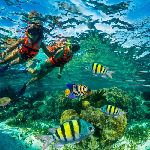 Arrecife de Puerto Morelos: Aventura de snorkel con comida junto a la playa