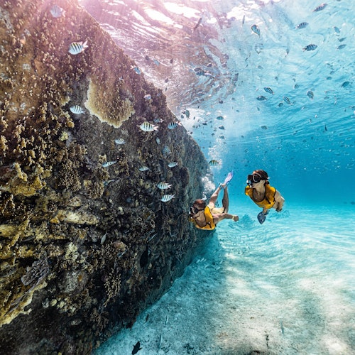 Cancún: Excursión de snorkel 5 en 1