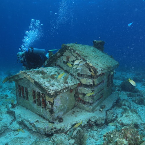 Cancún: Buceo para principiantes
