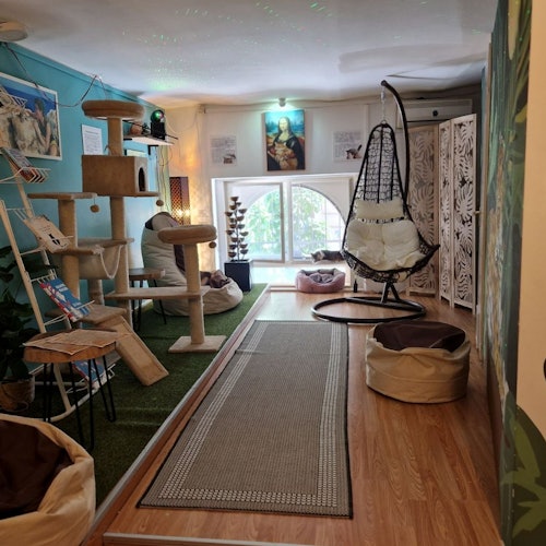 Cat Museum Budapest: Entry Ticket + Audio Guide