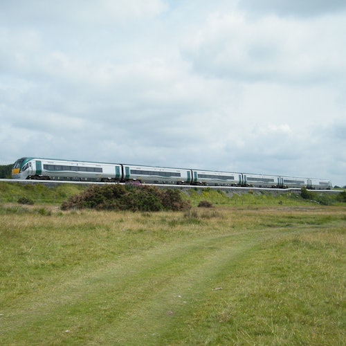 Cork y Blarney: Excursión de un día al castillo desde Dublín