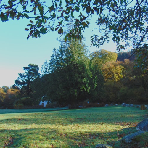 Wicklow, Glendalough y Kilkenny: Excursión desde Dublín con demostración ovina