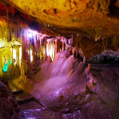 Cuevas de Génova: Entrada sin colas