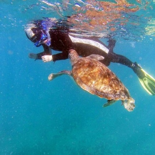 Tenerife: Excursión guiada de Kayak y Snorkel