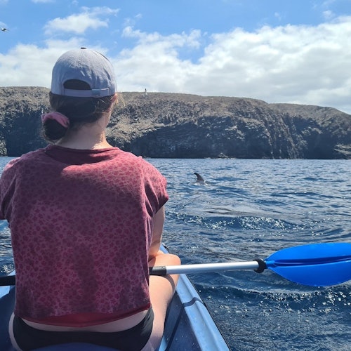 Los Cristianos: Excursión guiada en kayak