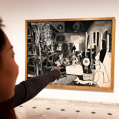 Museo Picasso Barcelona: Entrada sin colas + Visita guiada