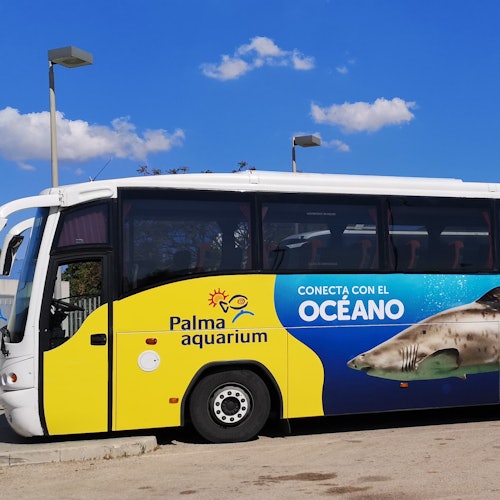 Palma Aquarium: Entrada + Traslado desde el Norte