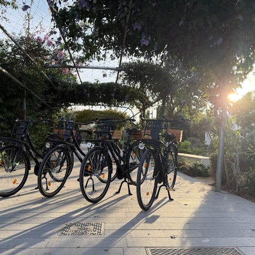 Valencia: Alquiler de bicicletas urbanas "Omafiets" al estilo holandés