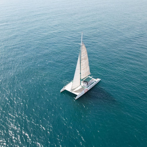 Valencia: Experiencia de navegación en catamarán