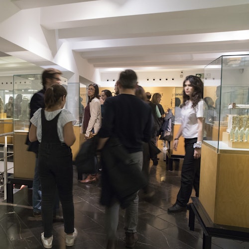 Museo Egipcio de Barcelona: Entrada