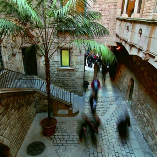Barcelona: Entrada sin colas al Museo Picasso + Visita a pie por la ciudad