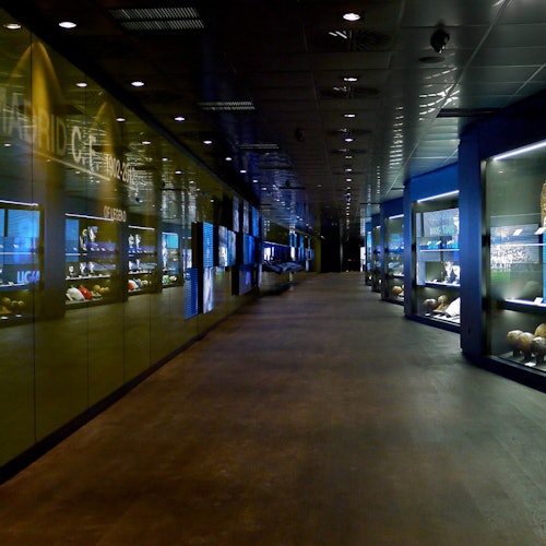 Madrid: 1-Hour Highlights Tour with Bernabéu Stadium Entry
