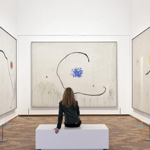 Fundació Joan Miró: Entrada sin colas