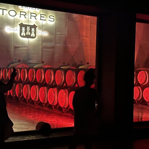 Penedès: Visita guiada de medio día desde Barcelona + Brunch + Cata de vinos