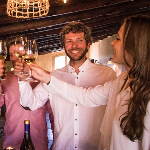 Ribera del Duero: Wine Tour and Tasting from Madrid