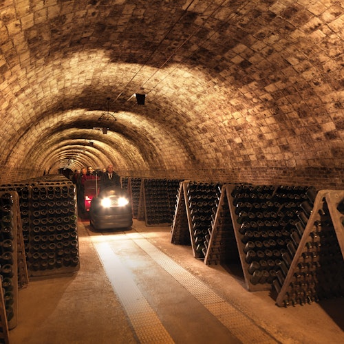 Codorníu Winery: Guided Tour + Cava & Appetizers Tasting