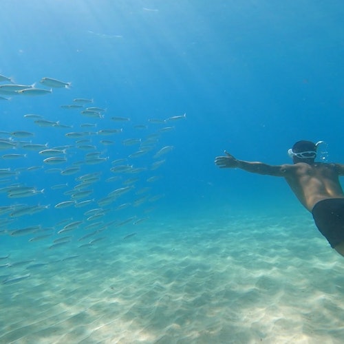 Es Trenc y Es Cargol: Paseo en velero + Comida o Cena