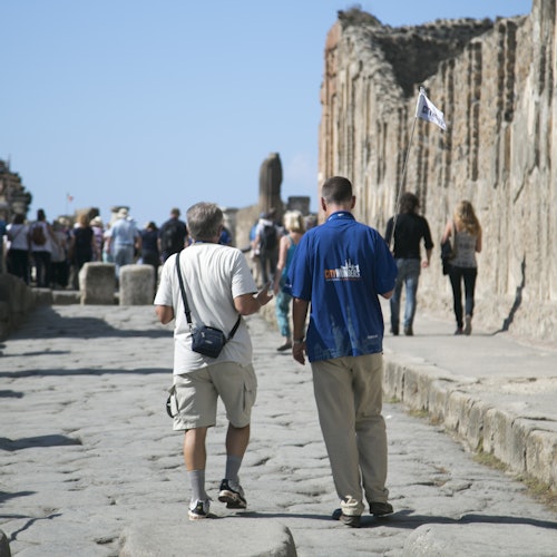 Pompeii & Mount Vesuvius: Day Trip from Rome + Lunch