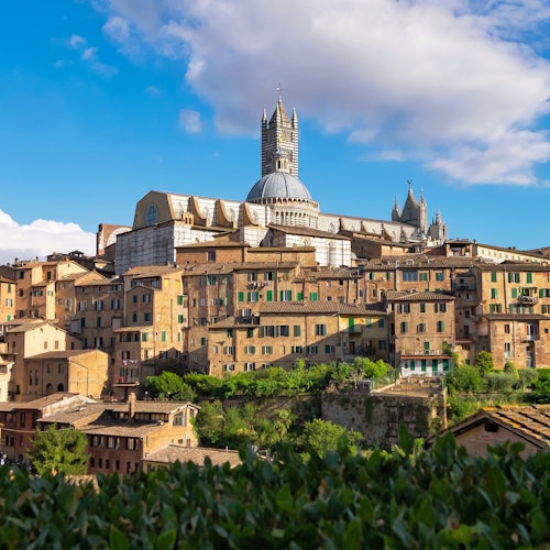 Siena & San Gimignano: Day Trip from Florence
