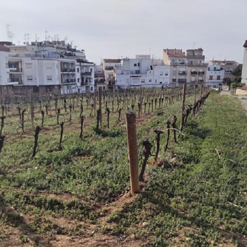 Sitges: Paseo en Barco, Visita a Pie y Bodega