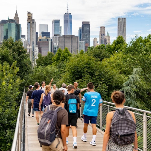 DUMBO, Brooklyn Heights & Bridge: Guided Walking Tour in French
