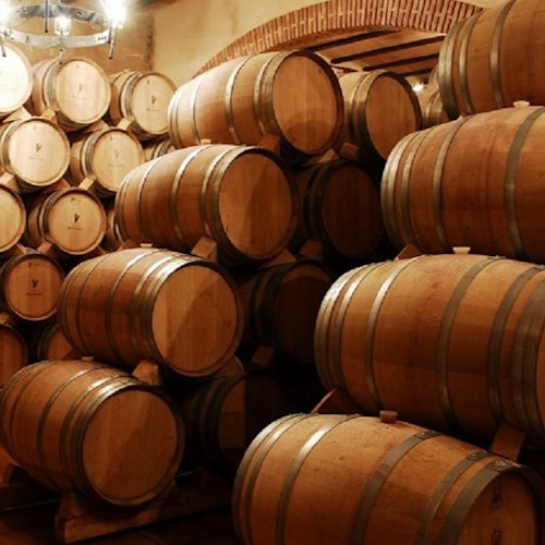 Alcalá de Henares: Guided City & Winery Tour from Madrid + Wine Tasting